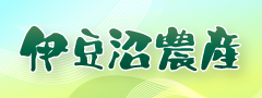 バナー5